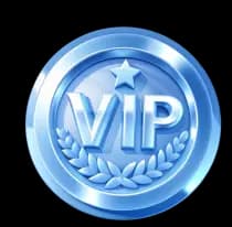 VIP seviye sistemi